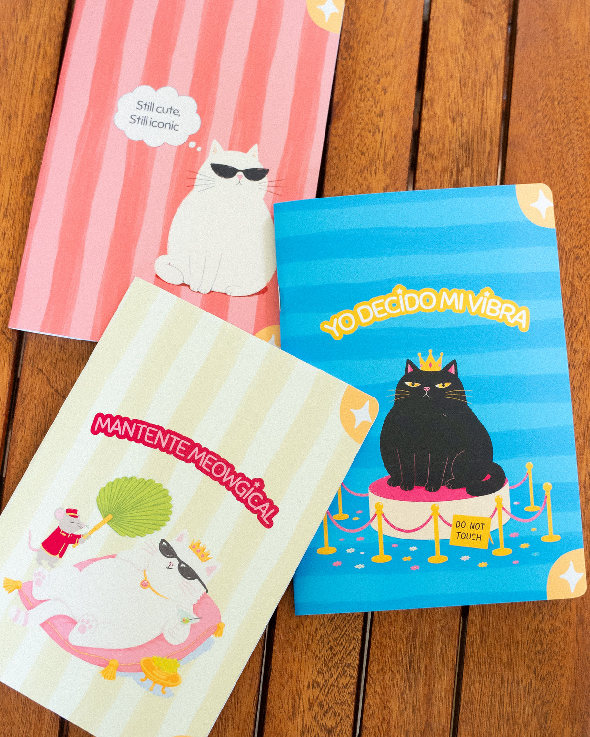 Pack de cuadernos Iconic