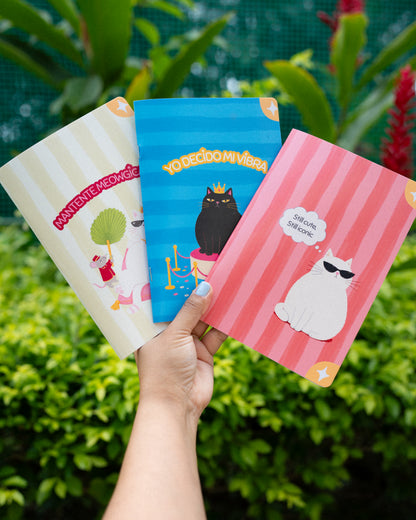 Pack de cuadernos Iconic