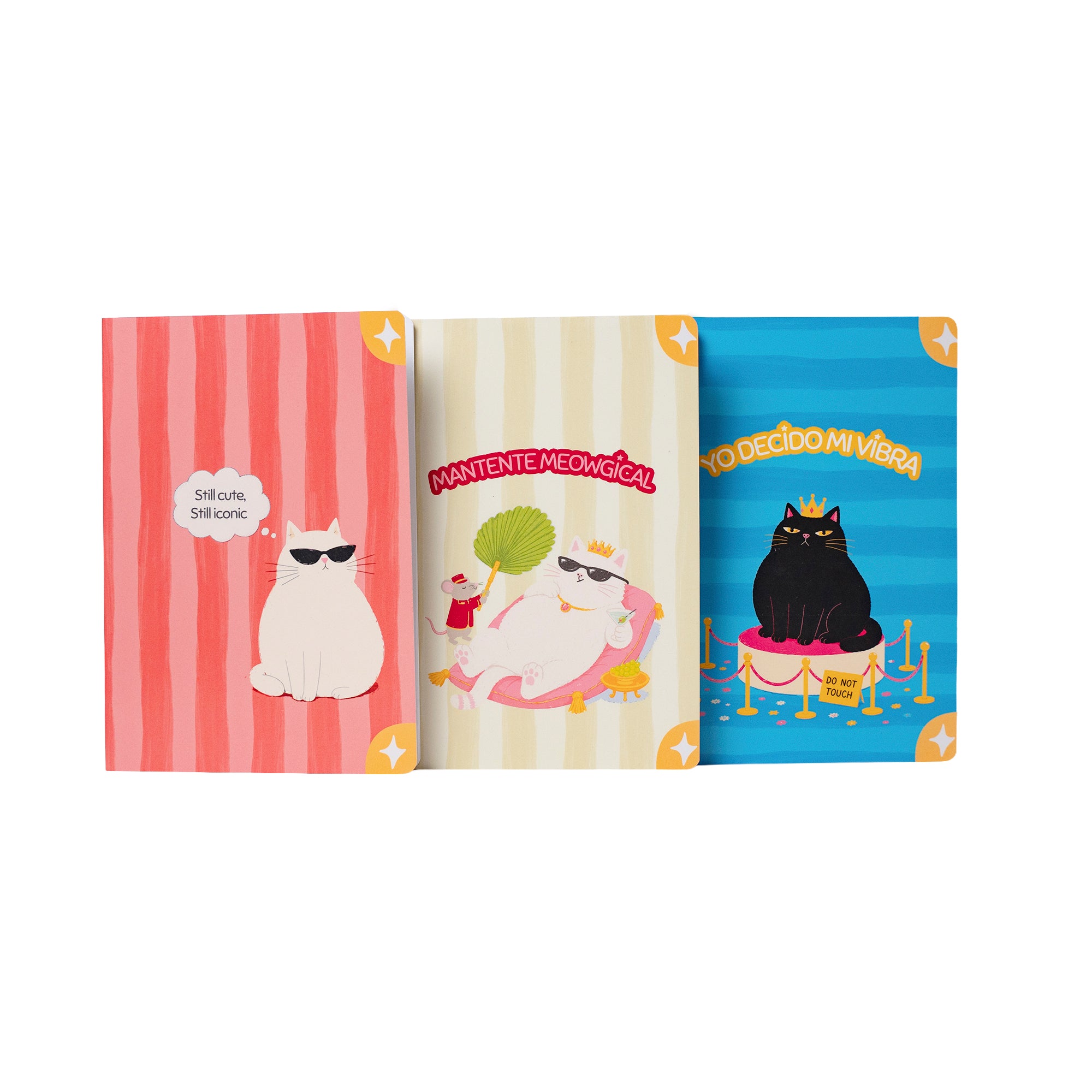 Pack de cuadernos Iconic